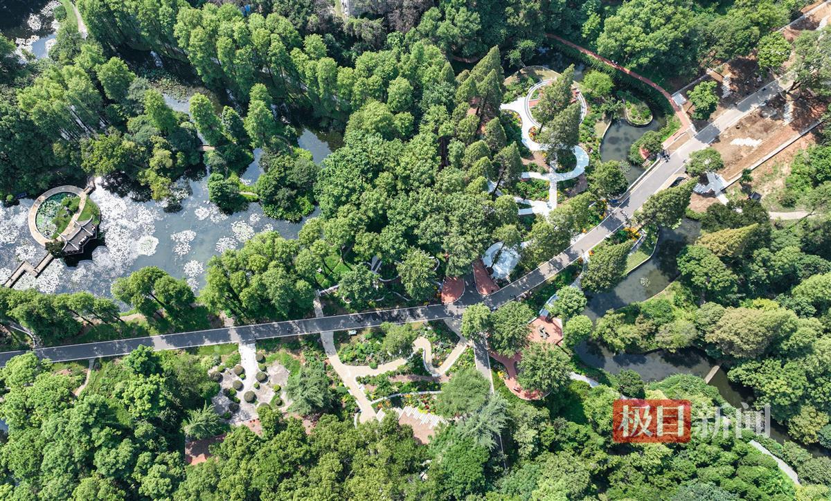 乐游棋牌有假嘛